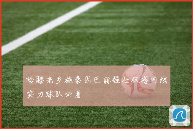 哈滕老乡施泰因巴赫强壮双塔内线实力球队必看