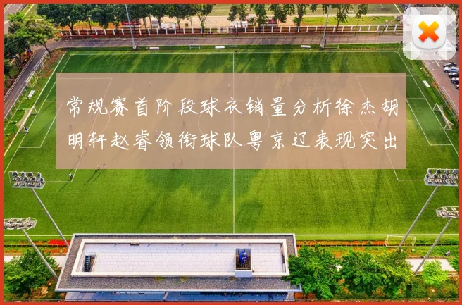 常规赛首阶段球衣销量分析徐杰胡明轩赵睿领衔球队粤京辽表现突出