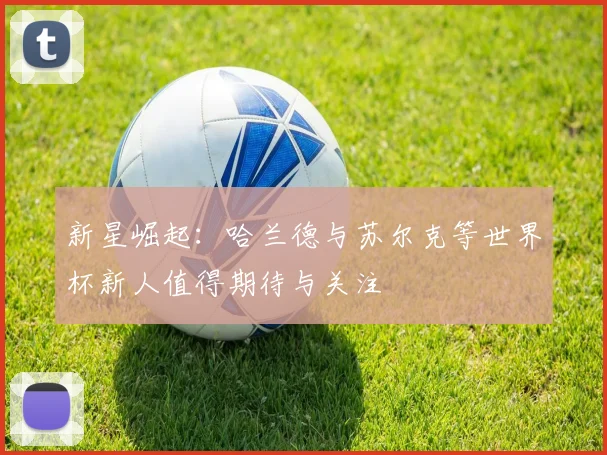 新星崛起：哈兰德与苏尔克等世界杯新人值得期待与关注